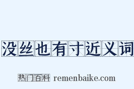 没丝也有寸近义词是什么意思的图片